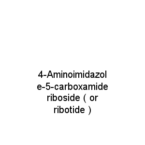 4-Aminoimidazole-5-carboxamide riboside ( or ribotide )